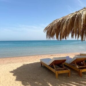 Hurghada: Dolphin House Yacht Trip, Swim with Dolphins & Lunch