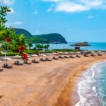 shutterstock_1595501452