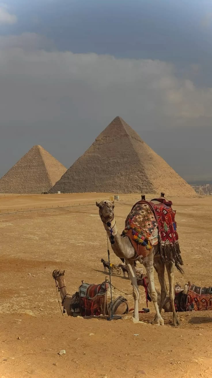 Majestic Egypt 8-Day Luxury Expedition: Pyramids, Nile Cruise & Ancient Treasures - Image 2