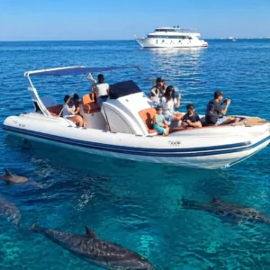 Hurghada: Speedboat, Dolphins, Snorkeling & 2 Islands