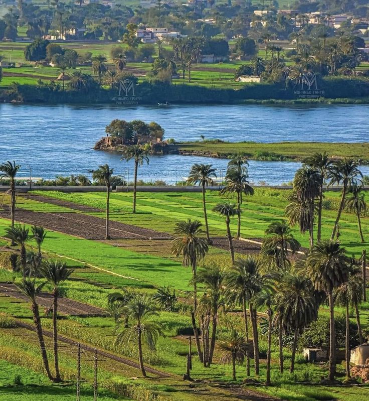 Aswan Day Tour: High Dam, Philae Temple & Unfinished Obelisk - Image 7