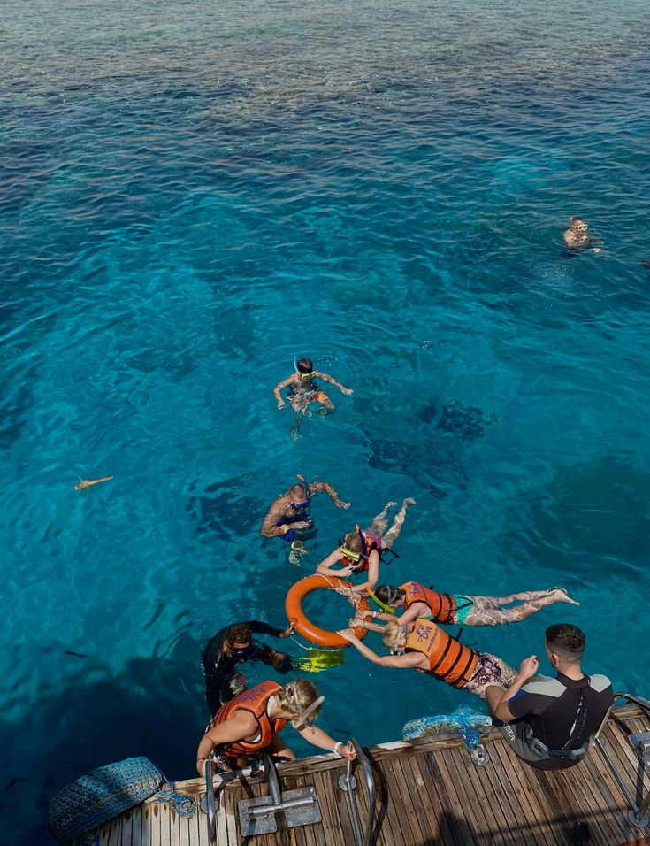 Hurghada: Speedboat, Dolphins, Snorkeling & 2 Islands - Image 6