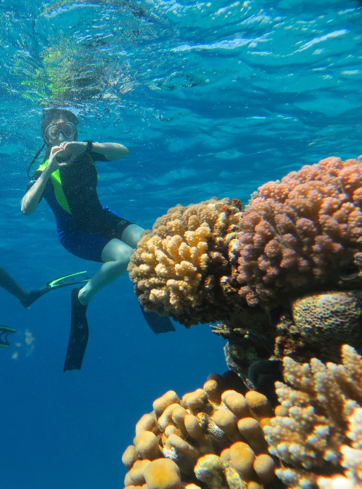 From Sharm El Sheikh: White Island and Ras Mohamed Snorkeling Trip - Image 4