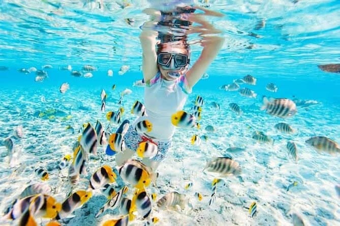 Sharm El Sheikh: Tiran Island Cruise, Snorkel & Dive with Lunch - الصورة 7