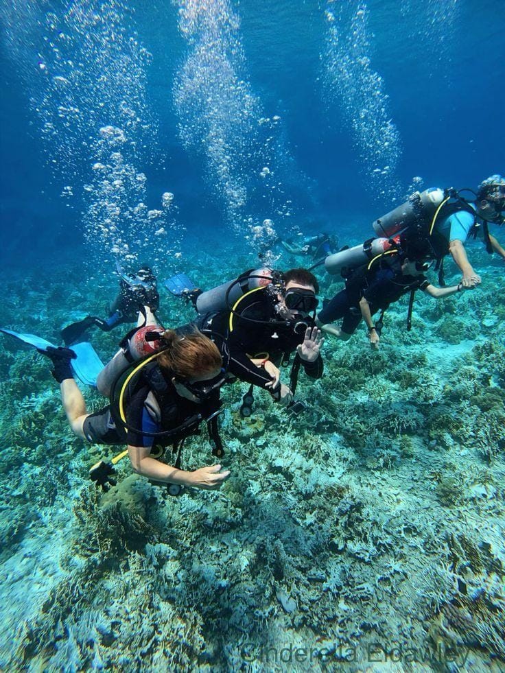 Sharm El Sheikh: Tiran Island Cruise, Snorkel & Dive with Lunch - الصورة 2
