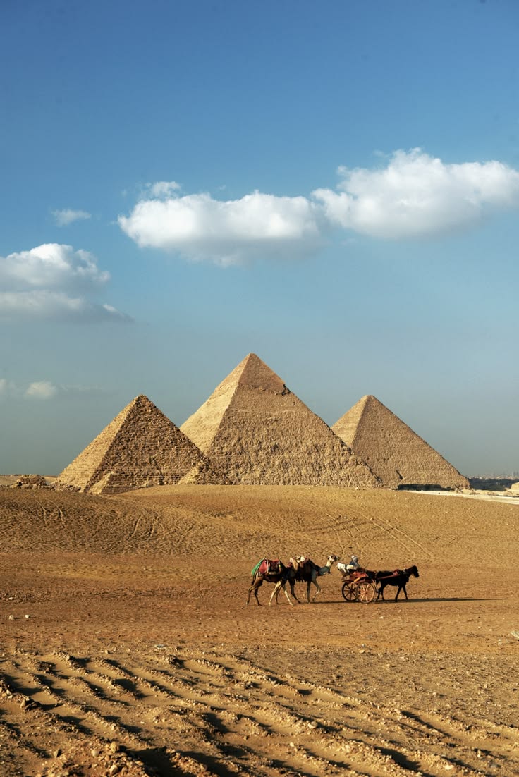 From Sharm El Sheikh: Cairo Pyramids Full-Day Tour by Plane - Image 5