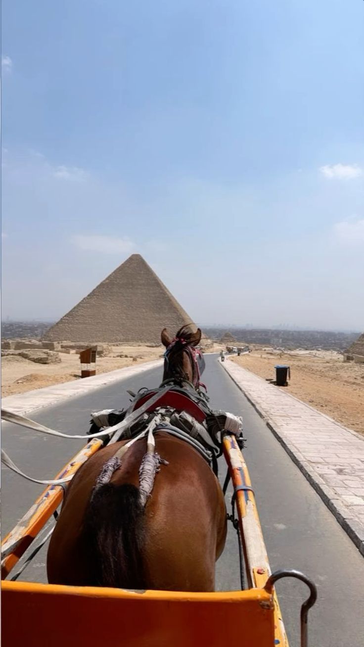 From Sharm El Sheikh: Cairo Pyramids Full-Day Tour by Plane - Image 7