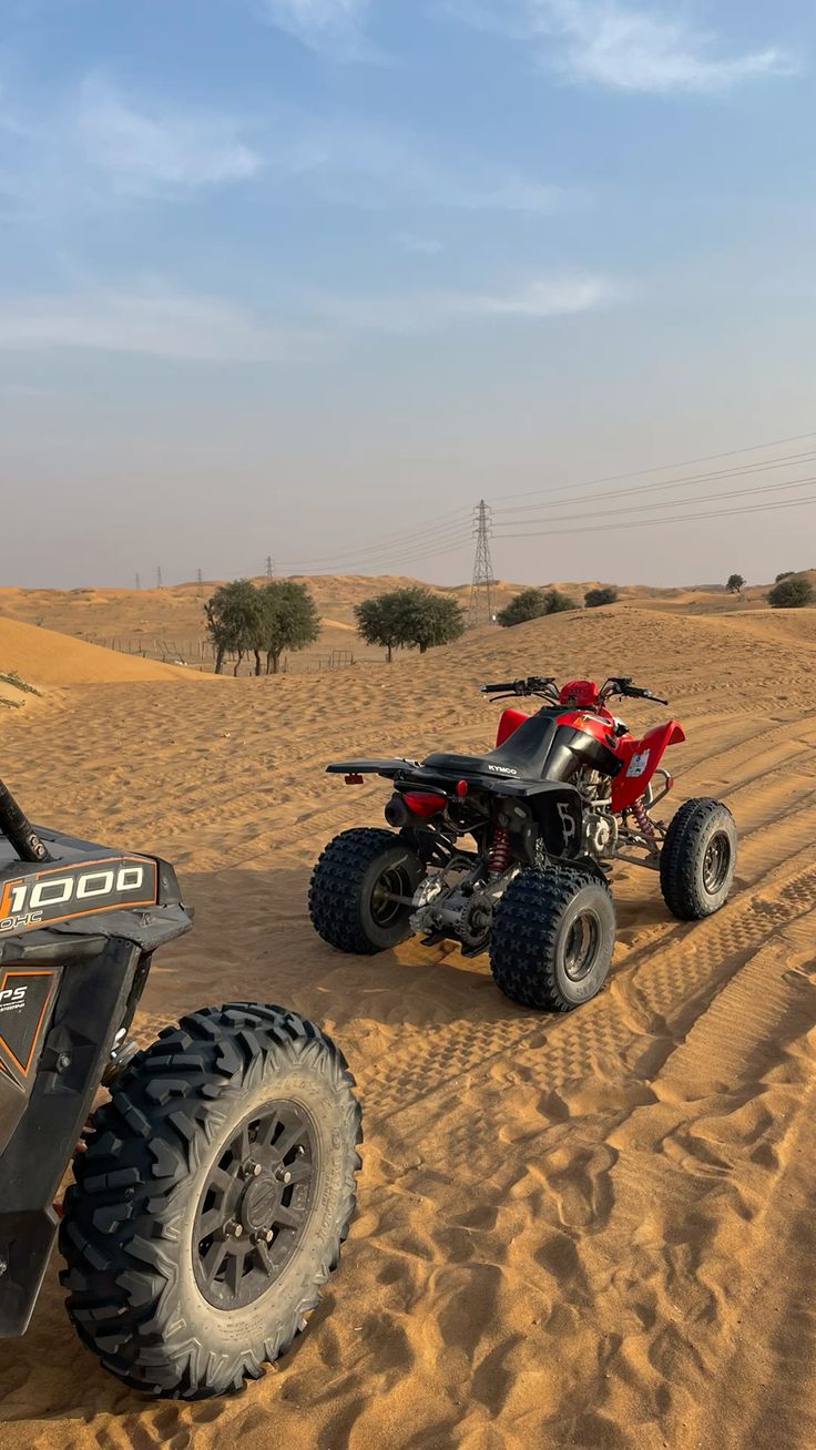Sharm El Sheikh: 5-in-1 Quad, Camel, Dinner & Stargazing - Image 4
