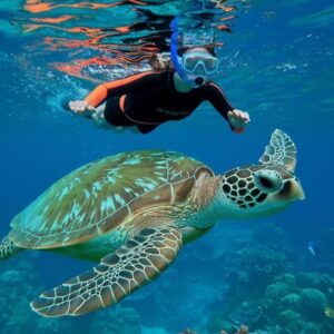 Sharm El Sheikh: Tiran Island Cruise, Snorkel & Dive with Lunch