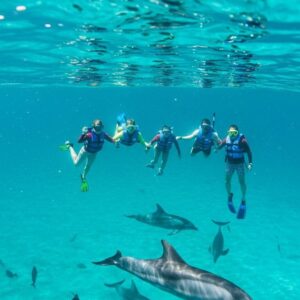 Sharm El Sheikh: Luxury Ras Mohammed & White Island Cruise